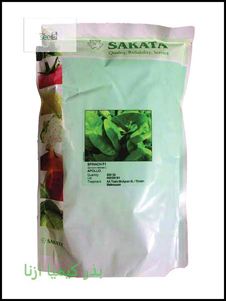 Apollo Sakata spinach seeds