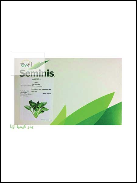 Spinach seeds of the world Seminis