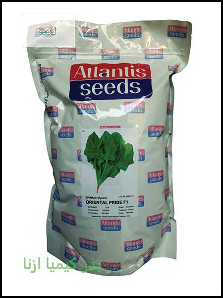 Atlantis Pride Spinach Seeds