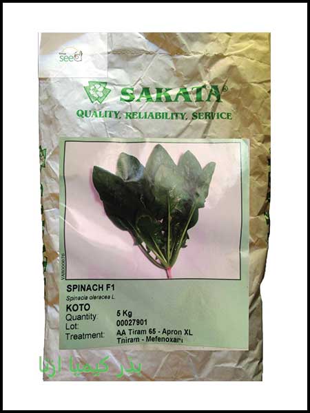 Koto Sakata Spinach Seed