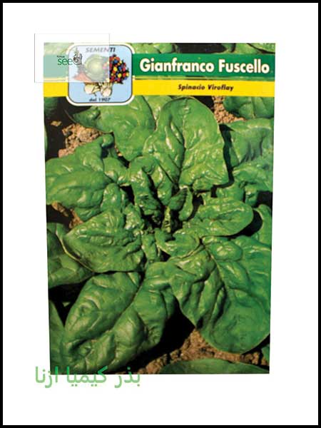 Gianfranco spinach viroflay seeds