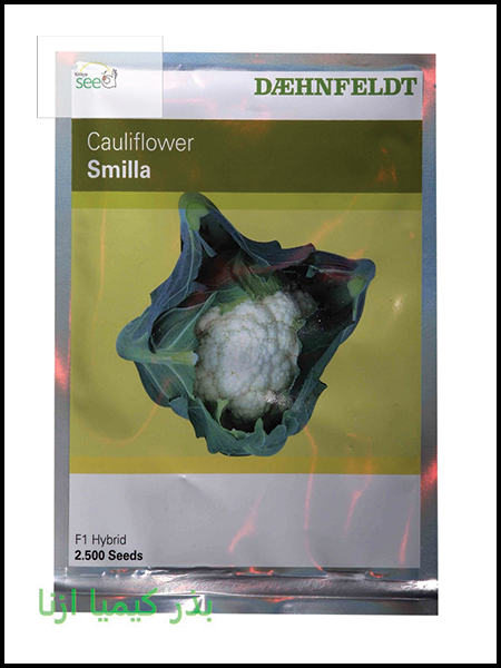 Daehnfeldt Cauliflower Smilla seeds 