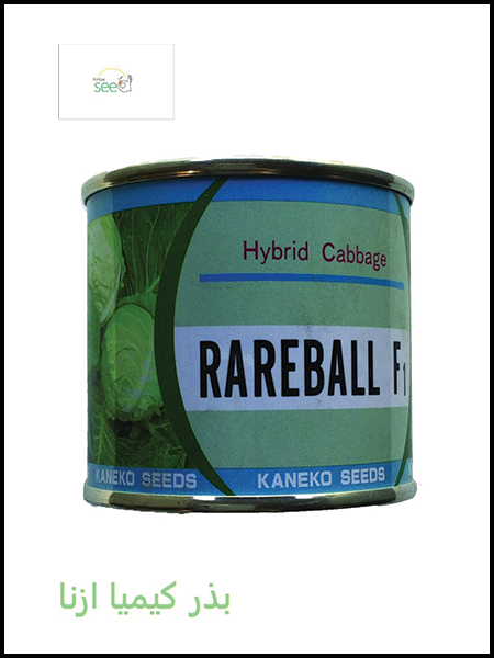 Kaneko Cabbage RareBall seeds