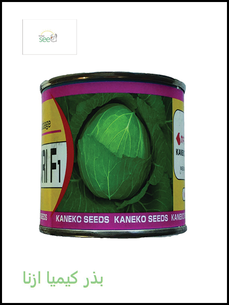Kaneko Cabbage Koykaneri seeds
