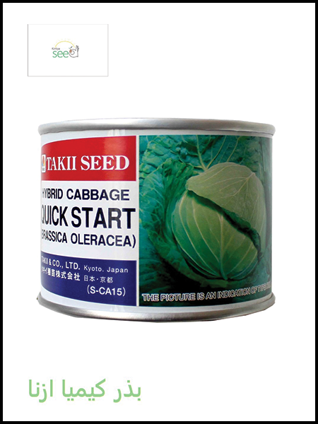 Takii Cabbage Quick Start seeds