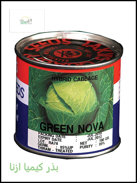 Takii Cabbage Green Nova seeds