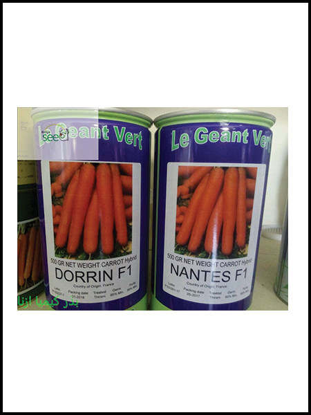 carrot seed dorrin