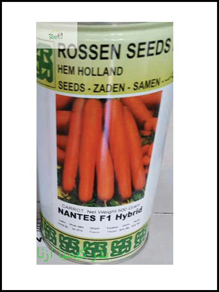 carrot seed rossenseed