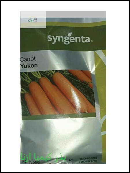 carrot seed syngenta yukon