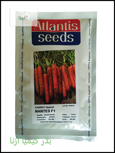 carrot seed atlantis