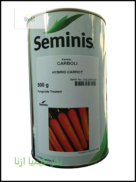 carrot seed seminis
