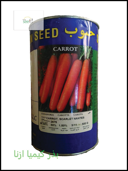 carrot seed habob