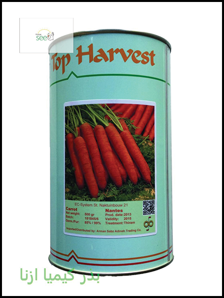 carrot seed harvest