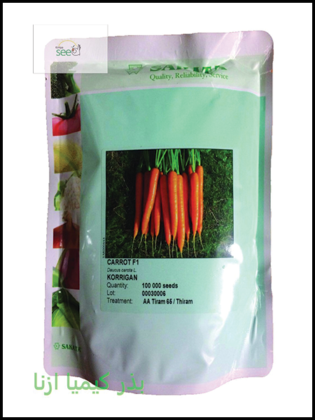 carrot seed korrigan