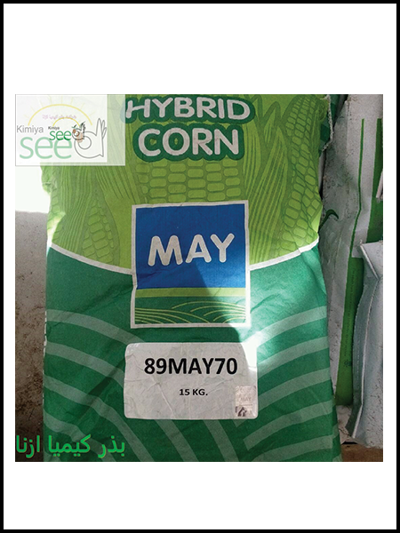 may Corn Seed