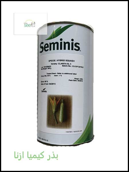 Seminis pumpkin Clarita SL5 seeds
