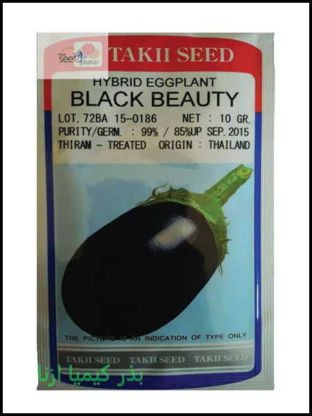 eggplant takii blach beauty Seeds 