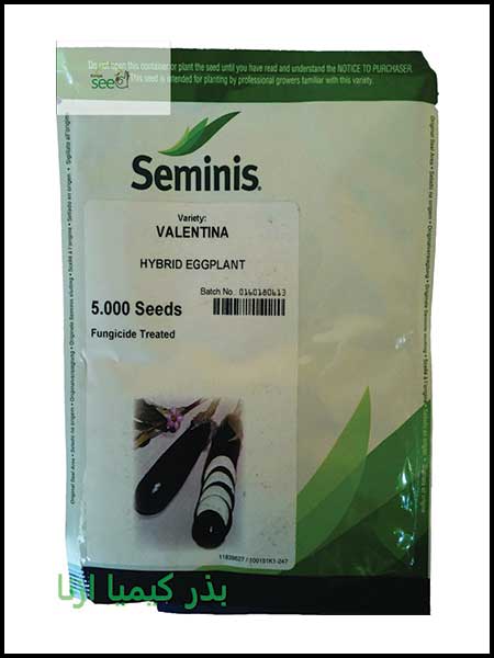 eggplant seminis valentina Seeds