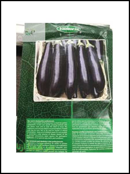eggplant vilmorin lango Seeds