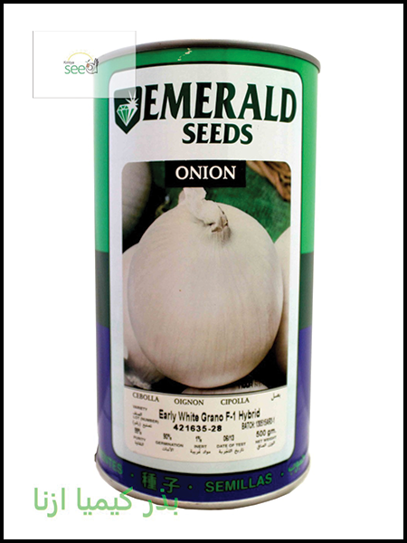 Emerald Onion Early Grano Seeds