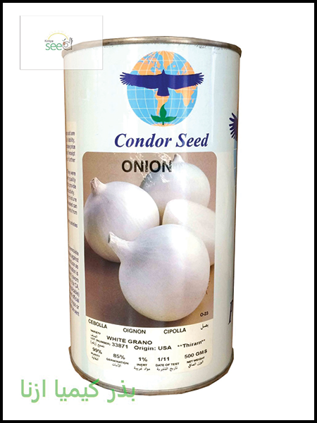 Condor Onion White Grano Seeds
