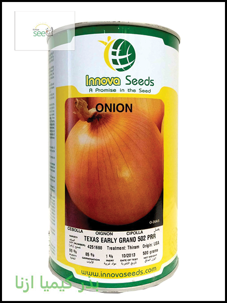 Innova Onion Early Grano Seeds