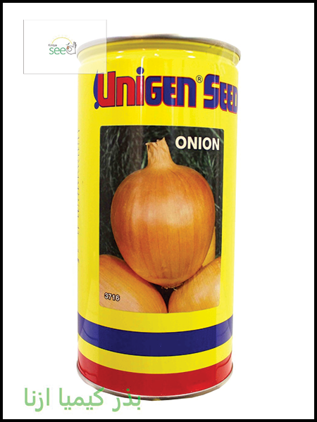  Unigen Onion Early Grano Seeds