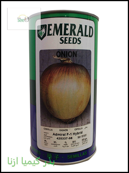 Emerald Onion Admiral Seeds