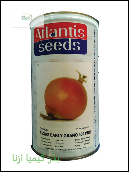 Atlantis Onion Seeds