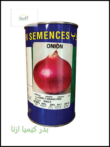  HOBOOB Onion Seeds