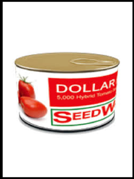 بذر گوجه فرنگی دلار
