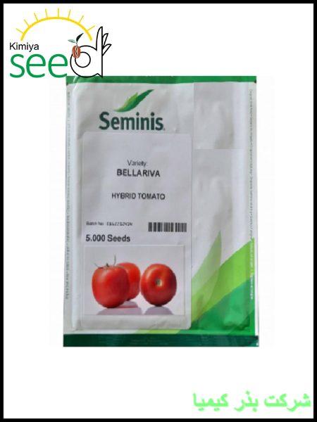 Seminis Tomato BELLARIVA Seeds
