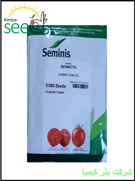 Seminis Tomato BERNETTA Seeds