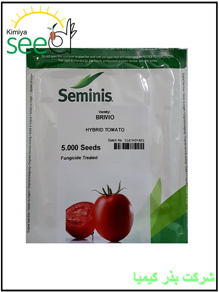 Seminis Tomato brivio Seeds