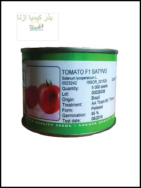 بذر گوجه ساکاتا 10857	
