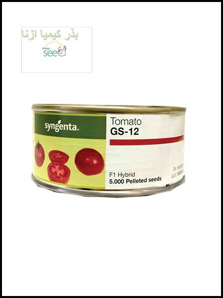 syngenta Tomato GS 12 SeedS