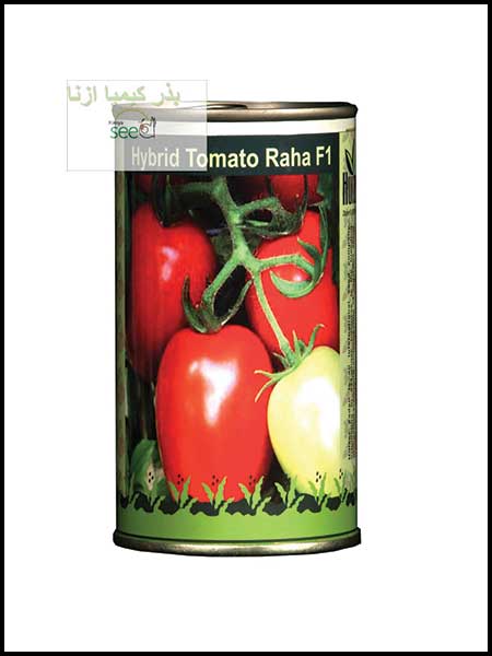  Huizer Tomato RAHA SeedS