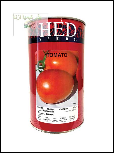  HED Tomato RIOGRANDE SeedS