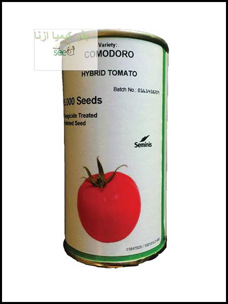 بذر گوجه کومودورو سمینیس