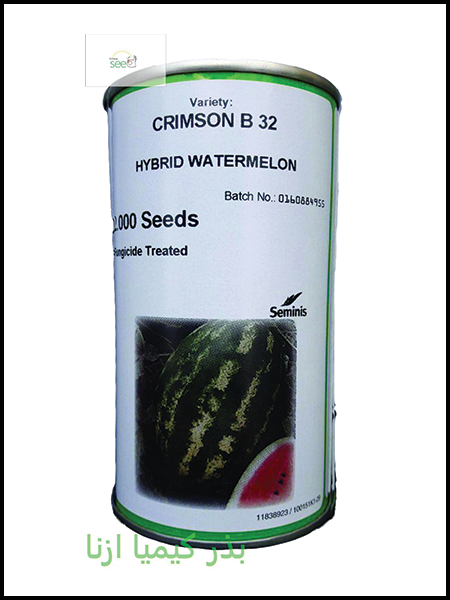 Watermelon seeds B32 Seminis