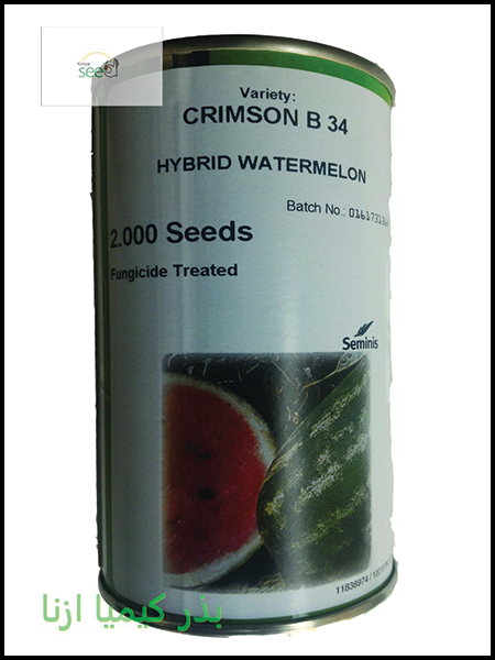 Watermelon seeds B34 Seminis