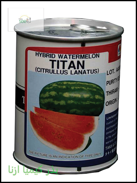 Titan Watermelon Seed