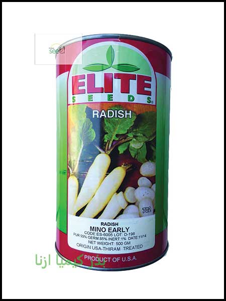 Elite white horseradish seeds